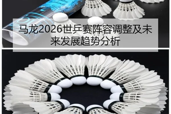 ma-long-shi-ping-sai-zhen-rong-tiao-zheng-ji-wei-lai-fa-zhan-qu-shi-fen-xi-2-261.jpg